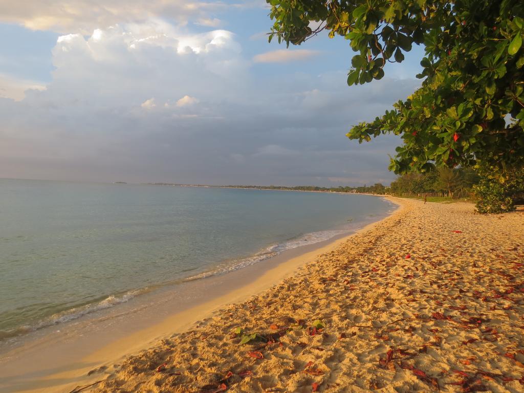 Hotel A Piece Of Paradise Montego Bay