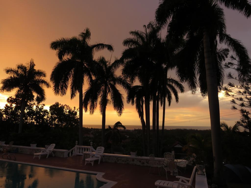 A Piece Of Paradise 3*