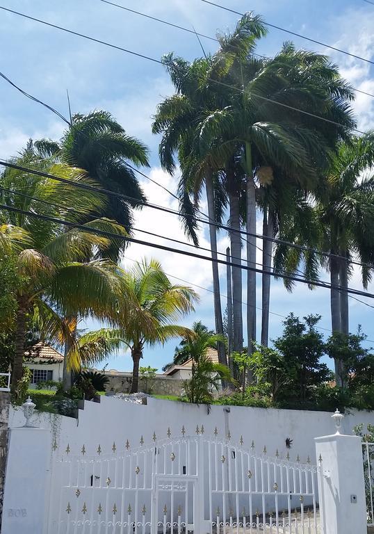 Hotel A Piece Of Paradise Montego Bay