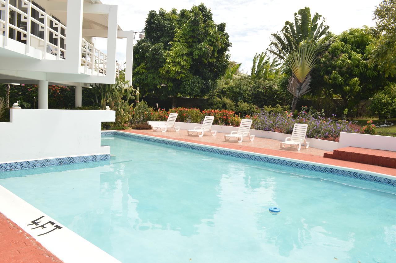 Nature Bliss - Lifestyle Center Bed & Breakfast Montego Bay