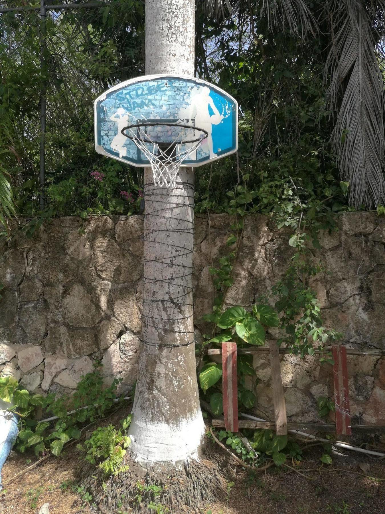 A Piece Of Paradise Hotel 3*