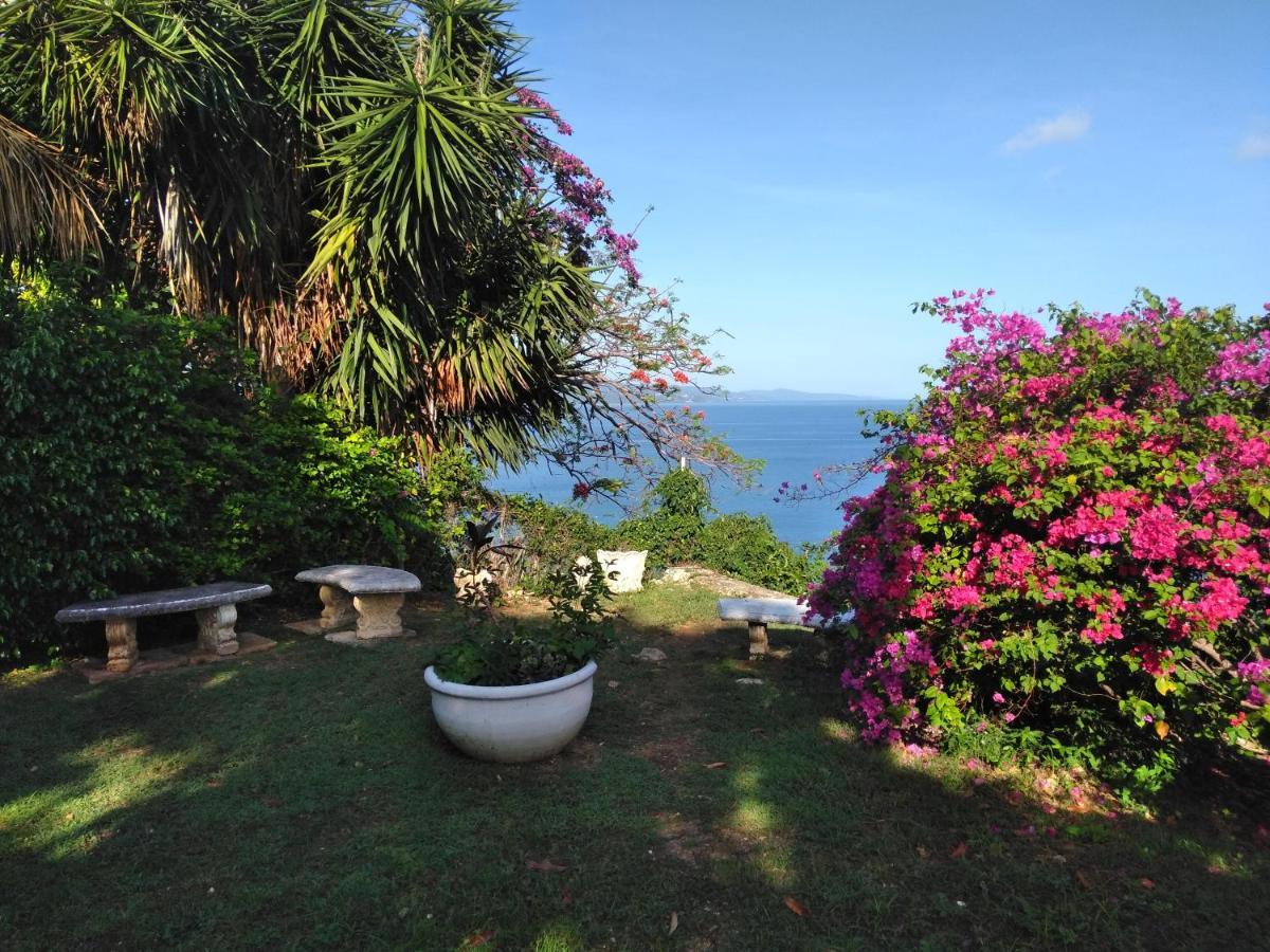 Irresistible View-mobay Club 1408 * Montego Bay